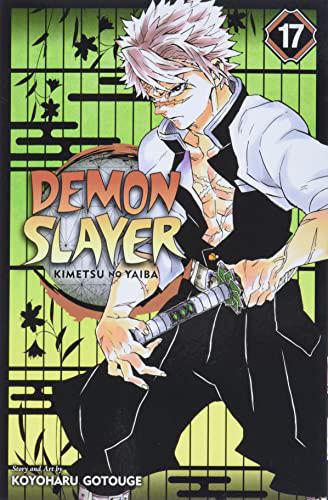 Demon Slayer Kimetsu No Yaiba - GN Vol 17