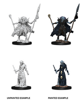 WizKids 73548 - Pathfinder Battles Deep Cuts - Ghouls