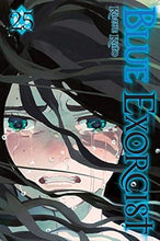 Load image into Gallery viewer, Blue Exorcist Graphic Novel Vol 25