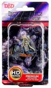 WizKids 93008 - D&D Icons of the Realms Male Elf Cleric