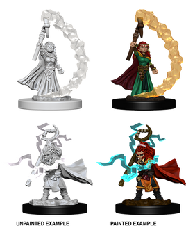 WizKids 73344 - Pathfinder Battles Deep Cuts - Male Gnome Bard