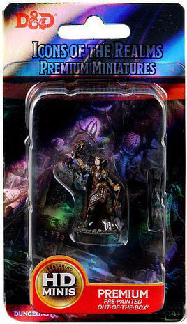 WizKids 93021 - D&D Icons of the Realms Female Elf Cleric