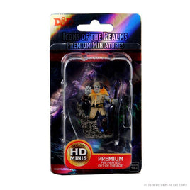 WizKids 93013 - D&D Icons of the Realms Male Firbolg Druid