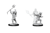 WizKids 90007 - D&D Nolzur's Marvelous Miniatures - Male Human Barbarian