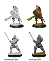 WizKids 73673 - D&D Nolzur's Marvelous Miniatures - Male Human Fighter