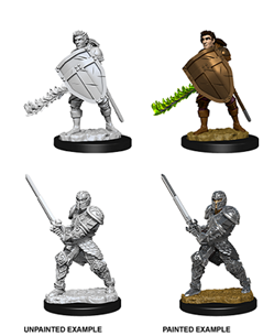 WizKids 73673 - D&D Nolzur's Marvelous Miniatures - Male Human Fighter