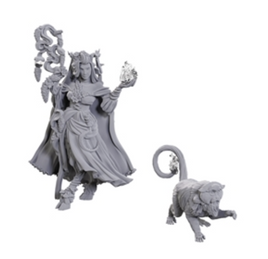 WizKids 90722 - Critical Role Fearne Calloway & Mister
