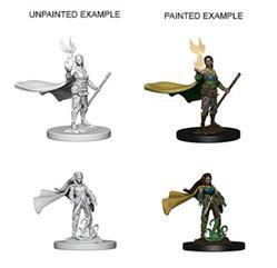 WizKids 72642 - D&D Nolzur's Marvelous Miniatures - Female Elf Druid
