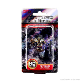 WizKids 93010 - D&D Icons of the Realms Male Dwarf Fighter