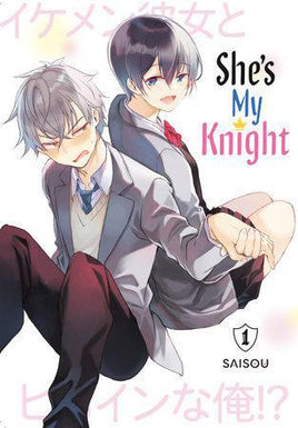 She's My Knight Graphic Novel Vol 01