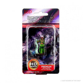 WizKids 93009 - D&D Icons of the Realms Female Human Druid