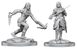 WizKids 90485 - D&D Nolzur's Marvelous Miniatures - Female Half-Elf Rogue