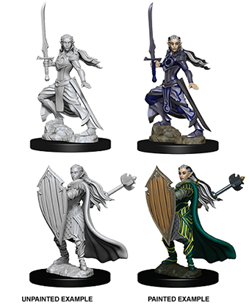 WizKids 73706 - D&D Nolzur's Marvelous Miniatures - Female Elf Paladin
