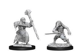 WizKids 73840 - D&D Nolzur's Marvelous Miniatures - Kenku Adventurers