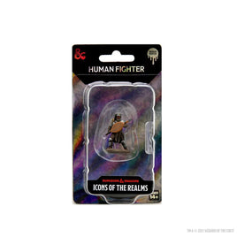 WizKids 93059 - D&D Icons of the Realms Male Human Fighter