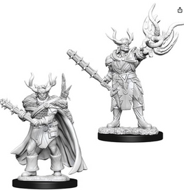 WizKids 73853 - Pathfinder Battles Deep Cuts Male Half-Orc Druid