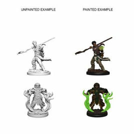 WizKids 72639 - D&D Nolzur's Marvelous Miniatures - Male Human Druid