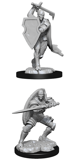 WizKids 90147 - D&D Nolzur's Marvelous Miniatures - Male Warforged Fighter
