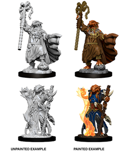 WizKids 73674 - D&D Nolzur's Marvelous Miniatures - Female Dragonborn Sorcerer