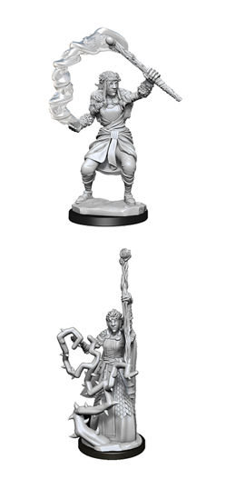 WizKids 90146 - D&D Nolzur's Marvelous Miniatures - Female Firbolg Druid