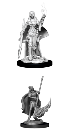 WizKids 90044 - Pathfinder Battles Deep Cuts - Female Human Oracle (Magic User) Unpainted Minis 2pc
