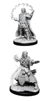 WizKids 90011 - D&D Nolzur's Marvelous Miniatures - Male Human Wizard