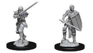 WizKids - D&D Nolzur's Marvelous Miniatures 73705 - Female Human Fighter