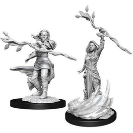 WizKids 90223 - D&D Nolzur's Marvelous Miniatures - Female Human Druid