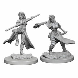 WizKids 72634 - D&D Nolzur's Marvelous Miniatures - Female Human Monk