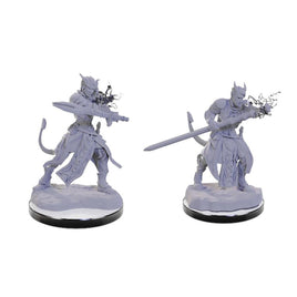 WizKids 90670 - D&D Nolzur's Marvelous Miniatures - Tiefling Warlocks