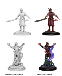 WizKids 73389 - D&D Nolzur's Marvelous Miniatures - Female Tiefling Warlock