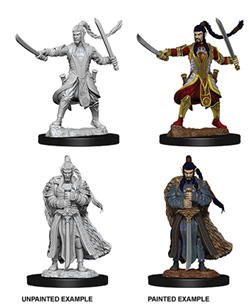 WizKids 73707 - D&D Nolzur's Marvelous Miniatures - Male Elf Paladin