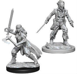 WizKids 73676 - D&D Nolzur's Marvelous Miniatures - Vampire Hunters