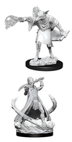 WizKids 90015 - D&D Nolzur's Marvelous Miniatures - Arcanaloth & Ultroloth