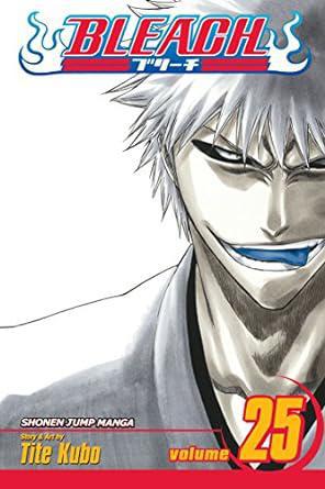 Bleach Graphic Novel Vol 25