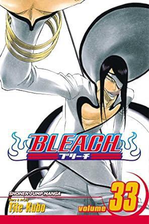 Bleach Graphic Novel Vol 33