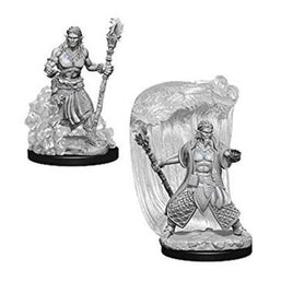 WizKids 73337 - D&D Nolzur's Marvelous Miniatures - Male Water Genasi Druid