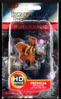 WizKids 93031 - D&D Icons of the Realms Male Human Druid