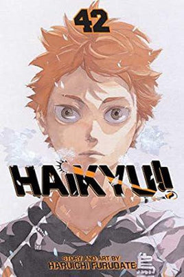 Haikyu!! Graphic Novel Vol 42