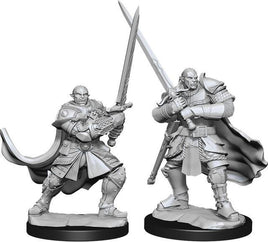 WizKids 90307 - D&D Nolzur's Marvelous Miniatures - Male Half Orc Paladin