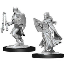 Load image into Gallery viewer, WizKids - D&amp;D Nolzur&#39;s Marvelous Miniatures 90233 - Kalashtar Cleric Female