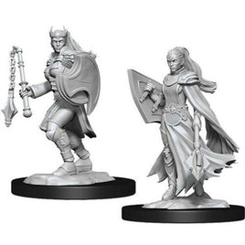WizKids 90233 - D&D Nolzur's Marvelous Miniatures - Kalashtar Cleric Female