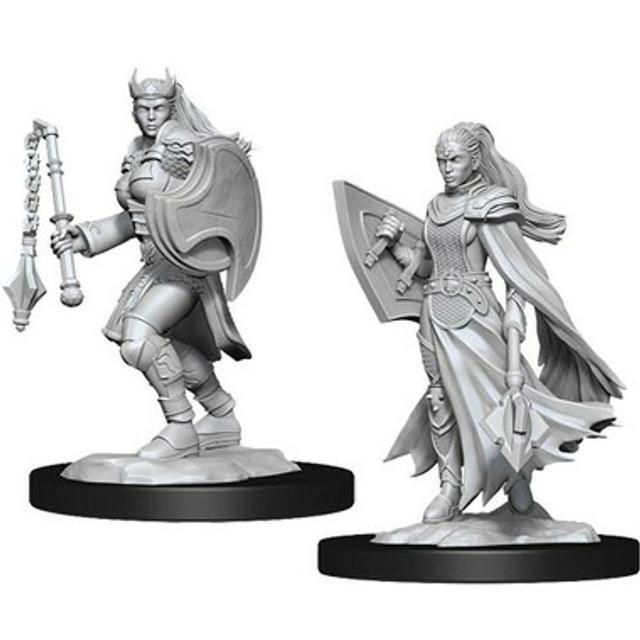 WizKids - D&D Nolzur's Marvelous Miniatures 90233 - Kalashtar Cleric Female