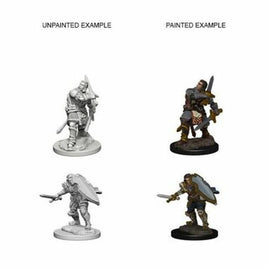 WizKids 72629 - D&D Nolzur's Marvelous Miniatures - Male Human Paladin
