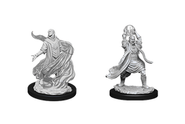 WizKids 90005- D&D Nolzur's Marvelous Miniatures - Male Elf Sorcerer