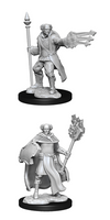 WizKids 90151 - D&D Nolzur's Marvelous Miniatures - Male Multiclass Cleric & Wizard