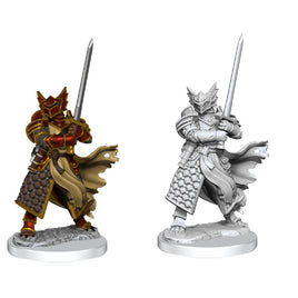 WizKids 75022 - D&D Frameworks Male Dragonborn Paladin