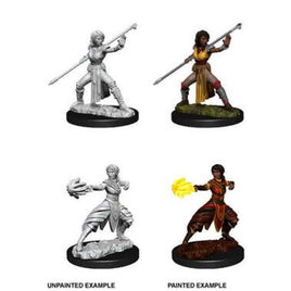 WizKids 73839 - D&D Nolzur's Marvelous Miniatures - Female Half Elf Monk