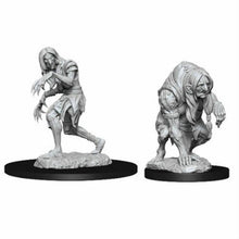 Load image into Gallery viewer, Pathfinder - Deep Cuts - Annis Hag &amp; Green Hag Unpainted Minis 2pc