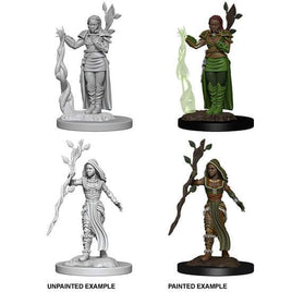 WizKids 72640 - D&D Nolzur's Marvelous Miniatures - Female Human Druid